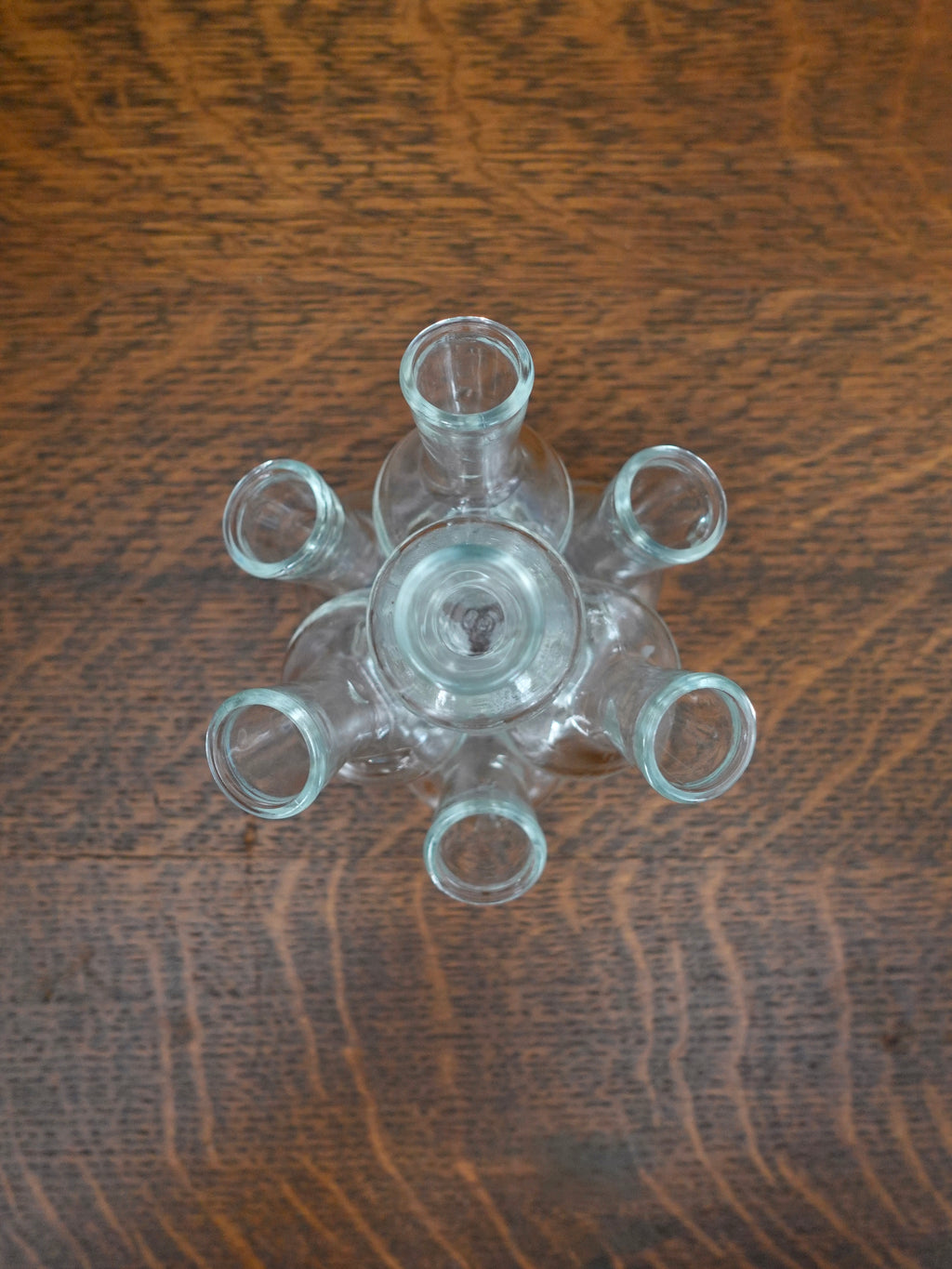 Vintage Propagation Cluster Vase